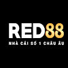 red88limo1