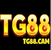 tg88cam