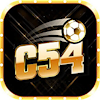 c54vin1
