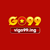 vigo99ing