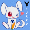 YFurry