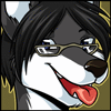 ServotheHusky