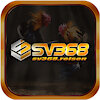 sv368login