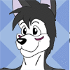 SiekhalHusky