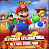 slvipinfo