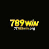 77789winorg
