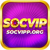 socvipporg