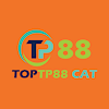 tp88cat