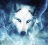 TheGreatWhiteWolf