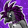 sexychickennugget