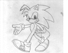 RonictheHedgehog