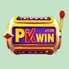 pkwinblog