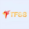 tf88cheap