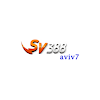 sv388aviv7