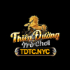 tdtcnyc