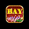 bayvipcam