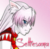 Settiesama