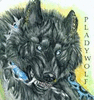 pladywolf