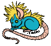 rat