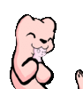 ferret