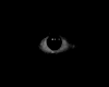 TheWatchersEyes