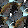 greydogm20