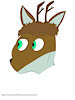ElvorXaetri