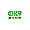 ok9icu1
