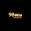 link98winprof