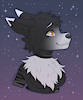 Asterhusky