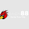 daga88asia1