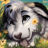 Spotty2Wily