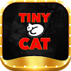 Tinycatcomco1