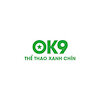 ok9393com