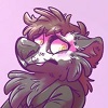 dumbestwolf