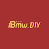 1bmwdiy
