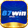 87winorg
