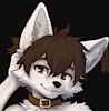 WhiteWolfR
