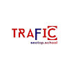 dvtrafficseotop
