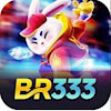 br333co