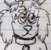 Chestertail
