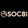 soc88ferragamosbelts