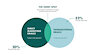 emailmarketingexpert