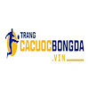 trangcacuocbongdavin
