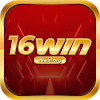 16winorg