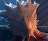 EvilDerg