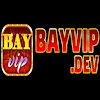 Bayvipdev