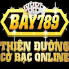 bay789pronet