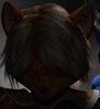 Rachidna