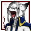 AmiralAesir